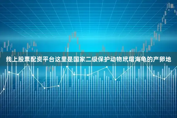 线上股票配资平台这里是国家二级保护动物玳瑁海龟的产卵地