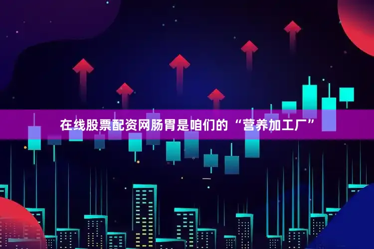 在线股票配资网肠胃是咱们的 “营养加工厂”