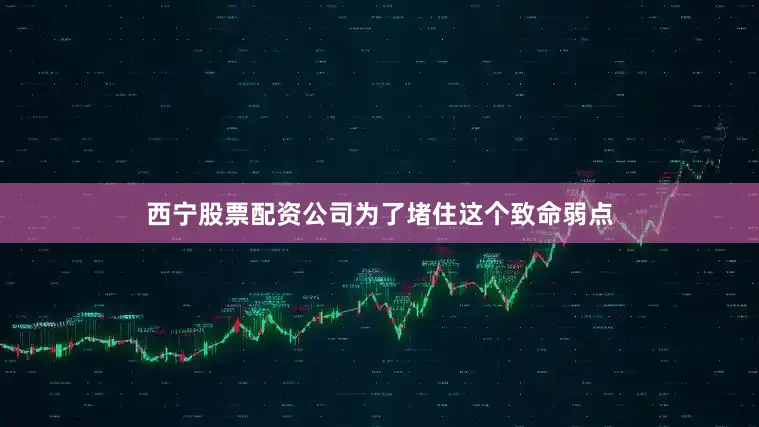 西宁股票配资公司为了堵住这个致命弱点