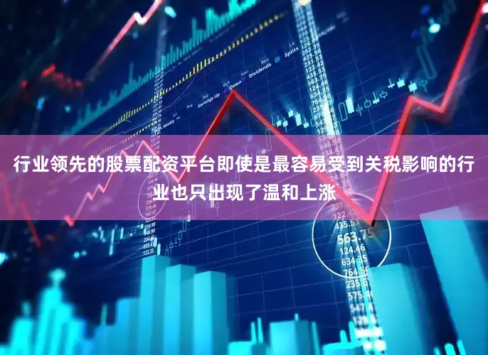 行业领先的股票配资平台即使是最容易受到关税影响的行业也只出现了温和上涨